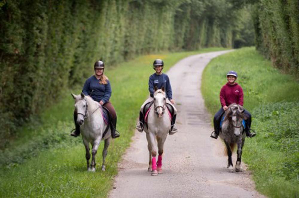 Balade à cheval