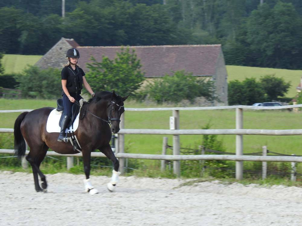 Cheval cnetre équestre