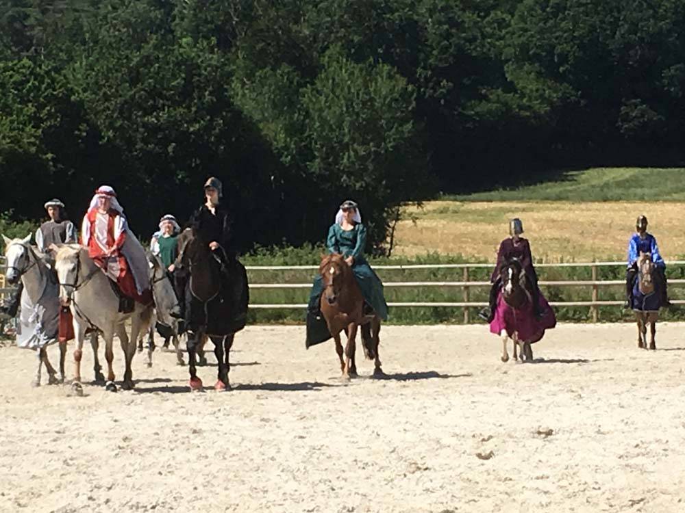 Cheval spectacle