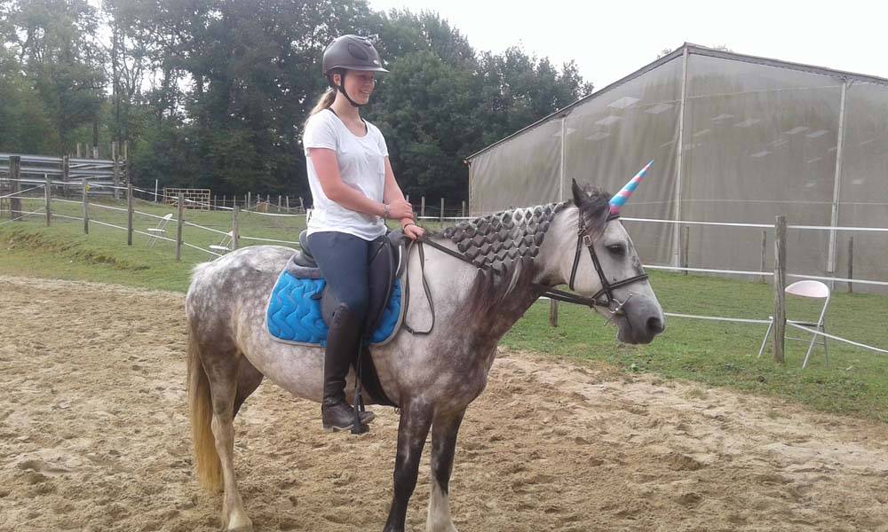 Cheval blanc et gris