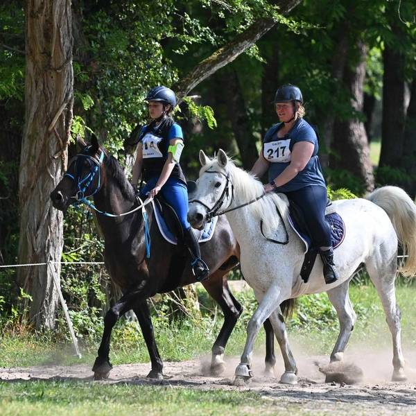 Concour ENDURANCE 2021-2022